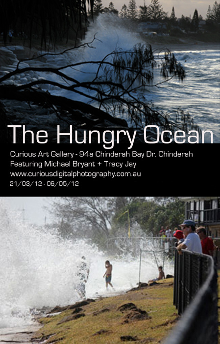 The Hungry Ocean featuring artists from Curious Digital Photography - Michael Bryant + Tracy Jay