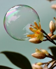 f2c98-flower-bubble2